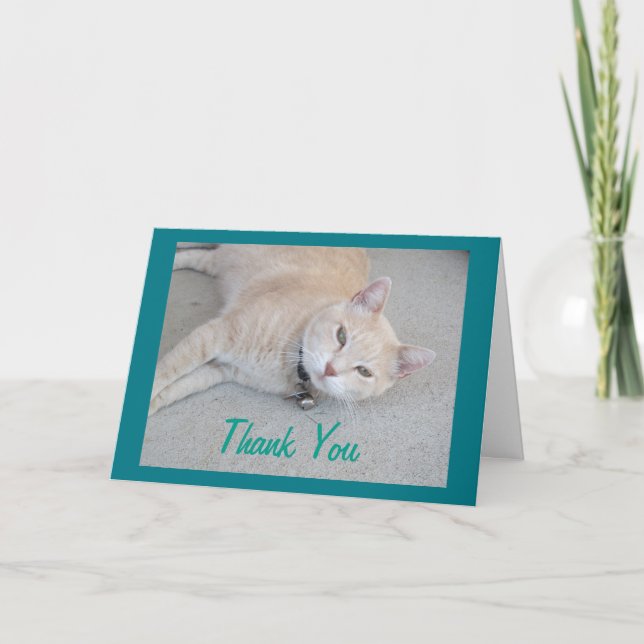Romeo The Cat Thank You Greeting Card (Front)