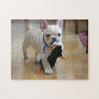 Romeo the French Bulldog Puzzle