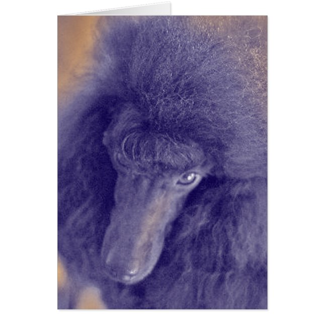 Romey's Card (Front)