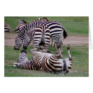 Romping About