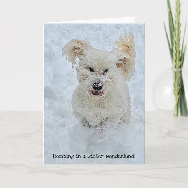 Romping Dog in a winter wonderland Holiday Card (Front)