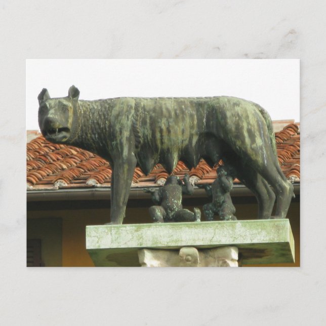 Romulus and Remus - Ancient Rome Postcard (Front)