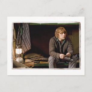 Ron Weasley 2 Postcard