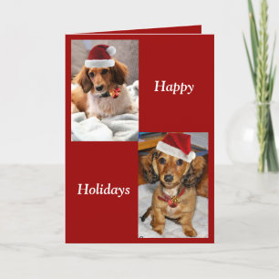 ronni pups holiday card