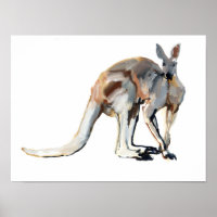Roo
