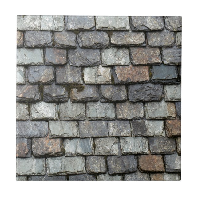 Roof cover with slate plates tile (Front)