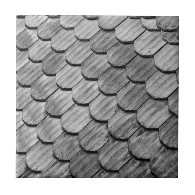 Roof Tiles (Front)