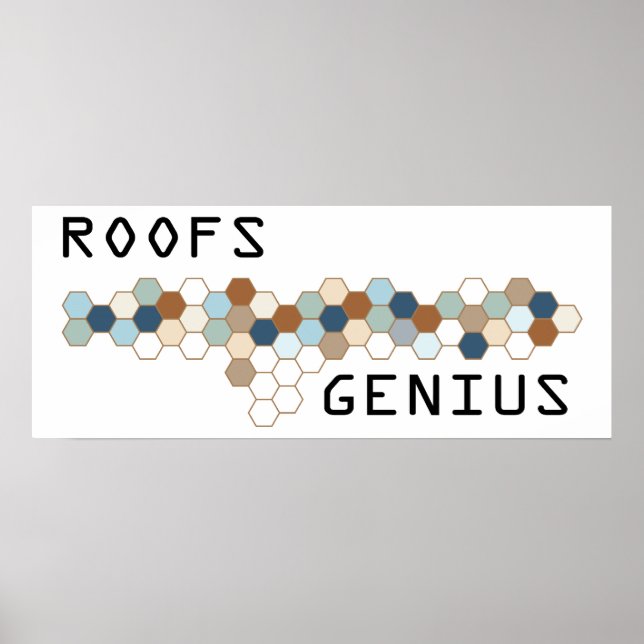 Roofs Genius Poster (Front)