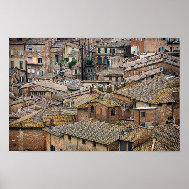 Roofs in Siena poster print (Front)