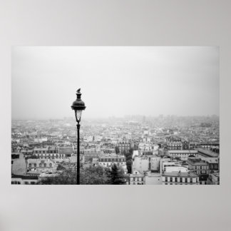 Roofs of the Paris - Poster