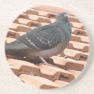 Rooftop Pigeon Coasters