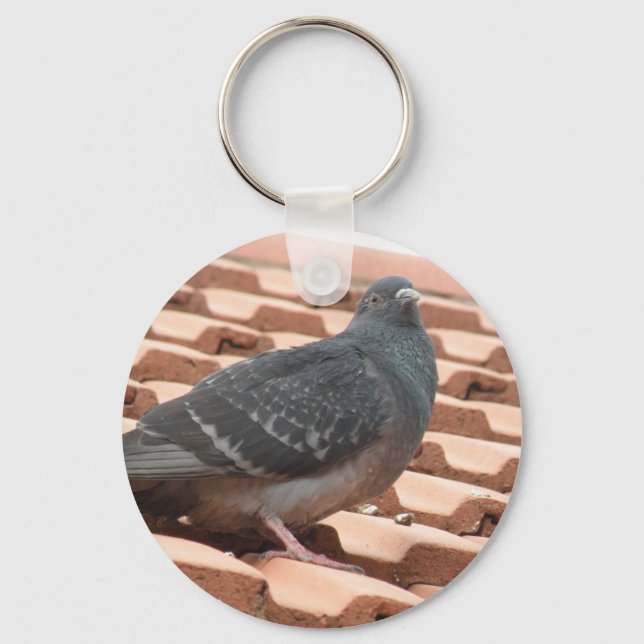 Rooftop Pigeon Keychain (Front)