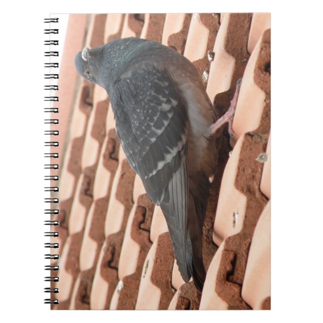 Rooftop Pigeon Notebook (Front)