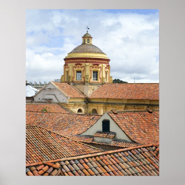 Rooftops in Bogota Poster (Front)