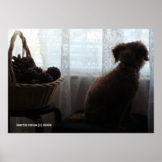 Rookie Waits Poster (Front)