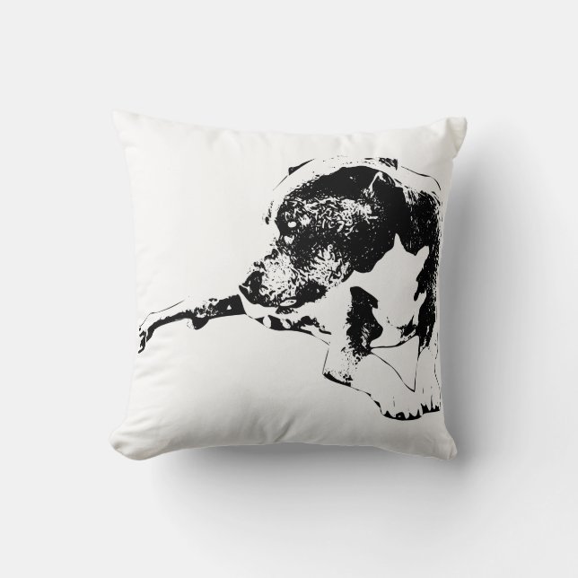 Room of Stillness Cushion (Front)