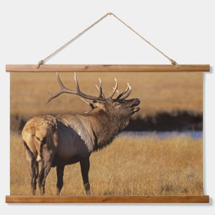 Roosevelt Eull Elk Wyoming Hanging Tapestry