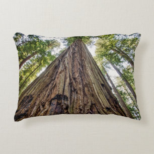 Roosevelt Grove Decorative Cushion