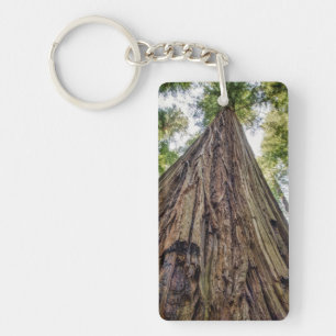 Roosevelt Grove Key Ring