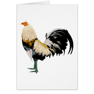 rooster