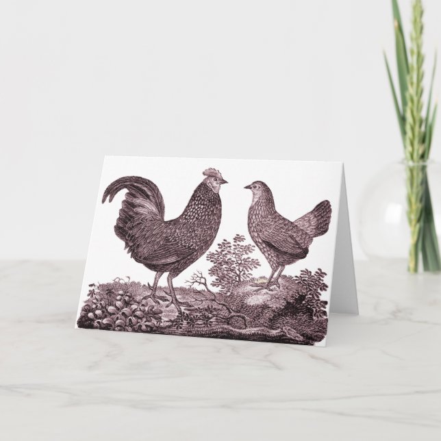 Rooster and Chicken Greeting Card (Front)