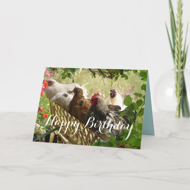 Rooster and Chickens Chook Farm Country Card (Front)