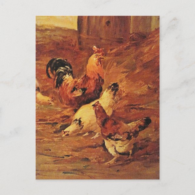 Rooster and chickens postcard (Front)