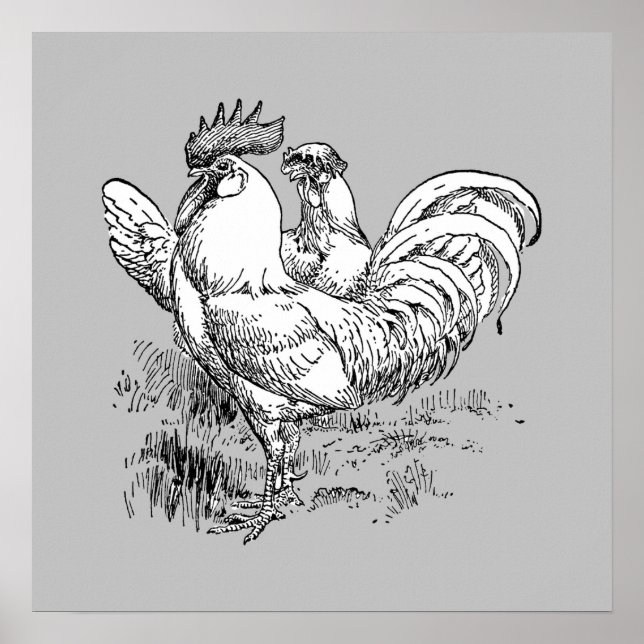 Rooster And Hen - Archival Print (Front)