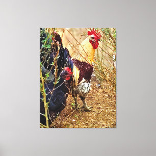 Rooster and Hen in a Thicket Canvas Print