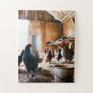 Rooster and Hens inside of Barn Jigsaw Puzzle
