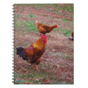 Rooster and his hens spiral notebook