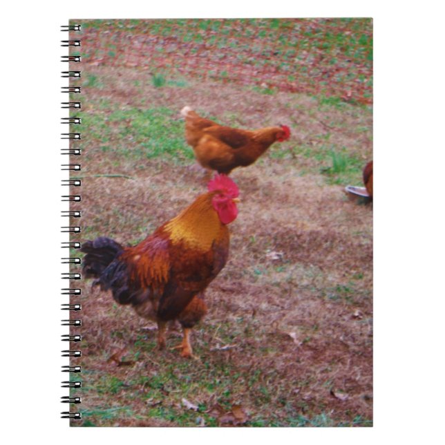 Rooster and his hens spiral notebook (Front)