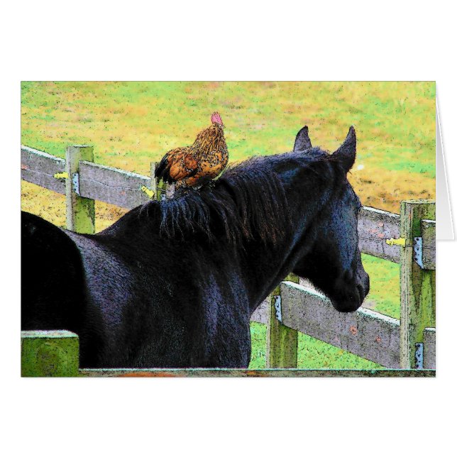 Rooster And Mare (Front Horizontal)