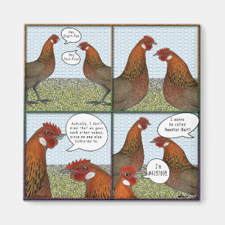 Rooster Bait Magnet