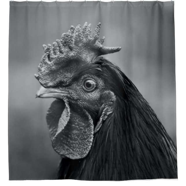 Rooster Black and White Shower Curtain (Front)