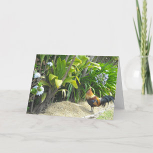 Rooster Blank Nature Card