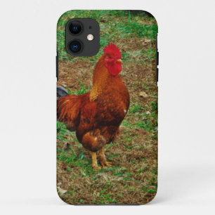 Rooster Case-Mate iPhone Case