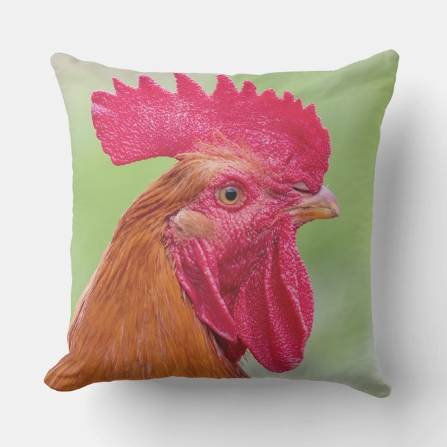 Rooster & Chicken Cushion (Front)