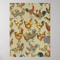 Rooster Chicken Farm Country Animal