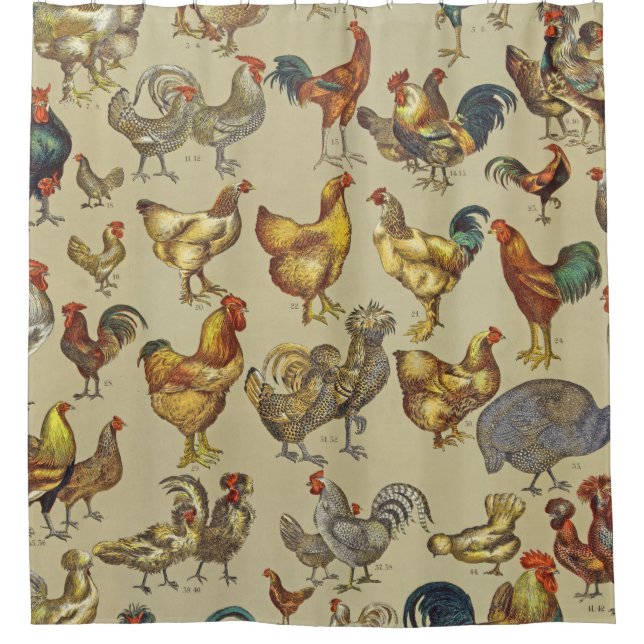 Rooster Chicken Farm Country Animal Shower Curtain (Front)