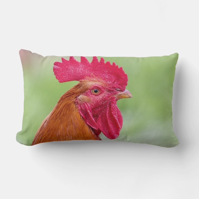 Rooster & Chicken Lumbar Cushion (Front)
