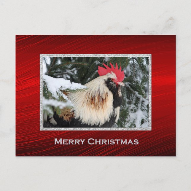 Rooster Christmas Postcard (Front)