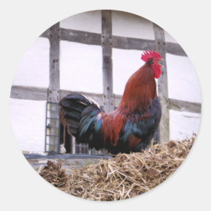 ROOSTER CLASSIC ROUND STICKER