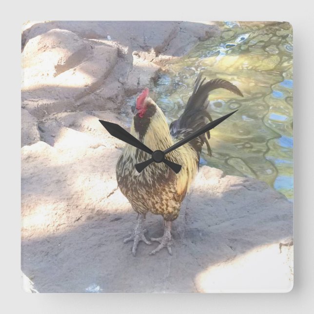 Rooster Clock (Front)