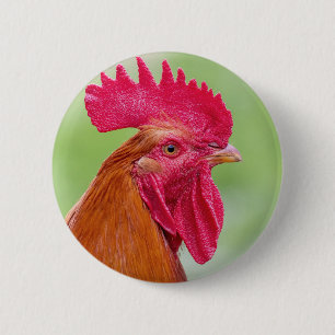 Rooster Close-Up 6 Cm Round Badge
