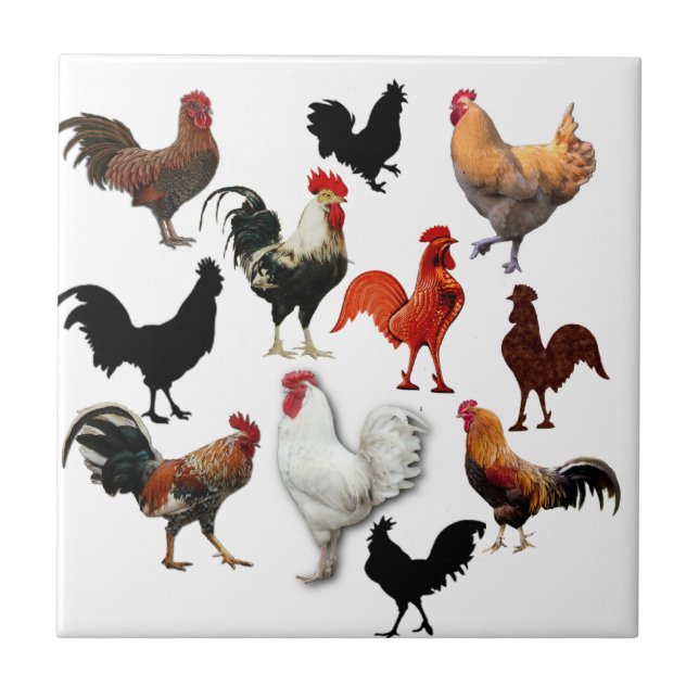Rooster Collage Vintage Rustic Chickens Tile (Front)