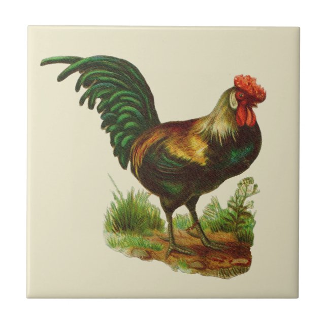 Rooster Country Kitchen Tile (Front)