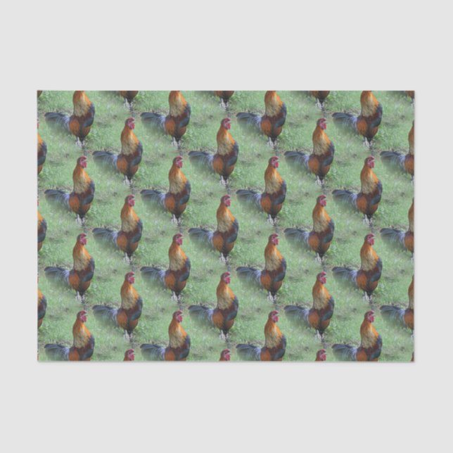 Rooster Crowing Animal Nature Pattern     Tissue Paper (Front)
