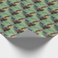 Rooster Crowing Animal Nature Pattern  