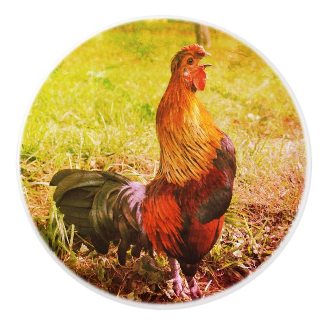 Rooster Crowing Farm Animal Abstract  Ceramic Knob (Front)